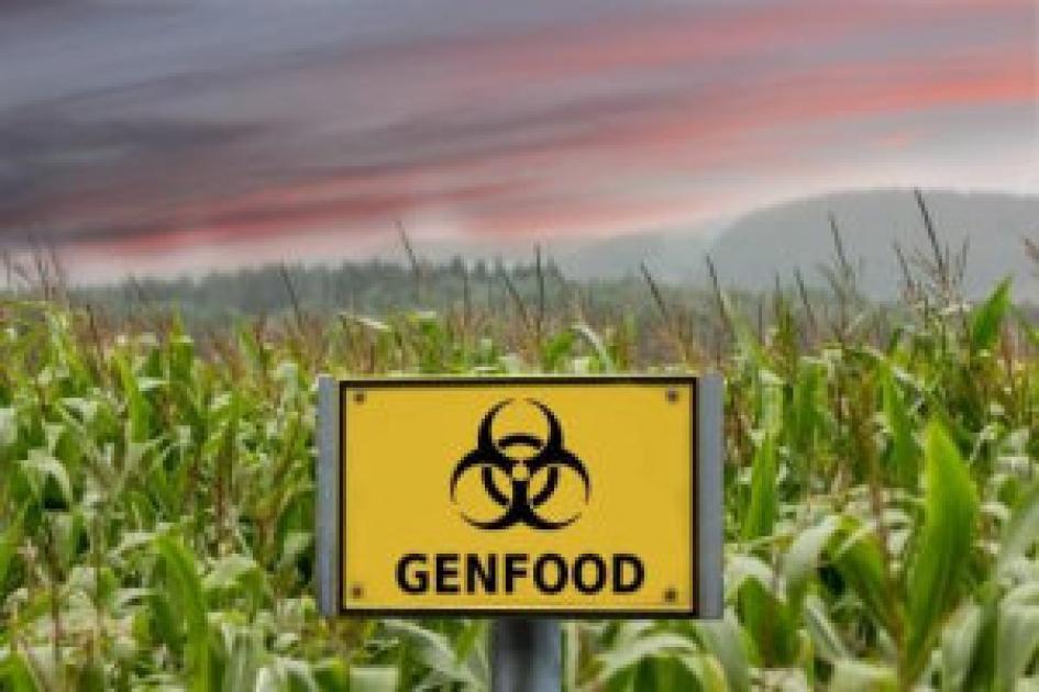 (online) CRISPR/Cas: Patentrezept für die Landwirtschaft