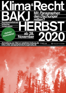 BAKJ 2020 Onlineplakat