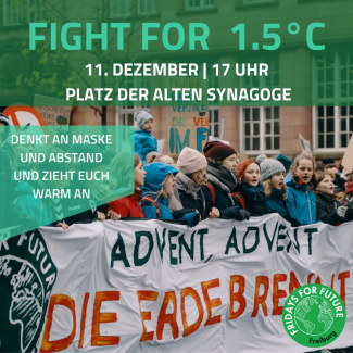 fight for