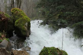 Fluss