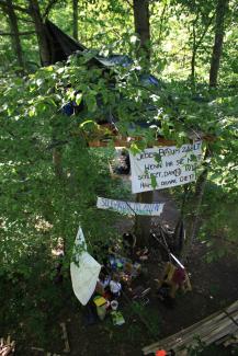 Baumhäuser im Dietenbach Wald