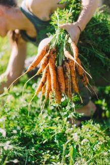 Bild: Mona Lisa Fiedler