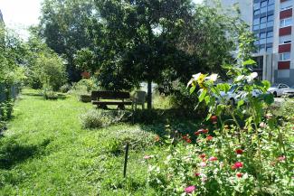 Blick in den Garten mit Bank und Hochhaus im Hintergrund