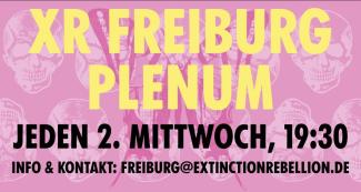Flyer Plenum XR