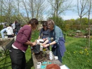 Workshop im Garten