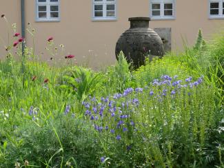 Staudenmischpflanzungen