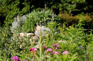 Kräutergarten