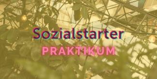 Header Praktikum Sozialstarter im Social Innovation Lab