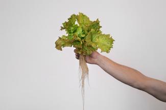 SALAT