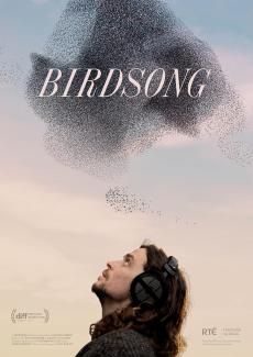 Poster Birdsong