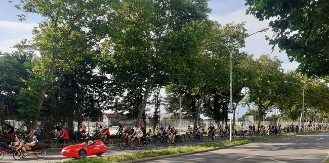 Critical Mass